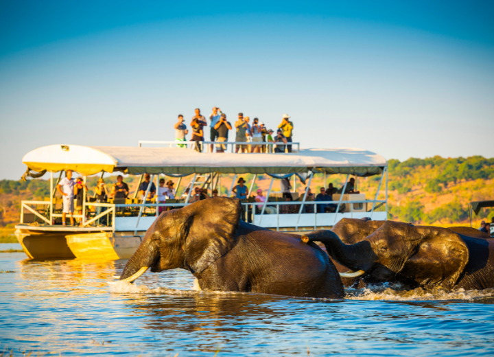 Prime Time hospitality and tourism services